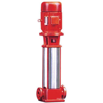 Yonjou High Lift Water Pump (QDL)